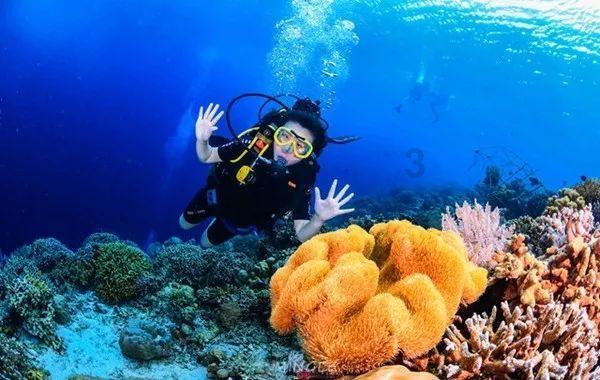 探索冷知识,尽在天水煤气罐检测多少钱一次啊?!